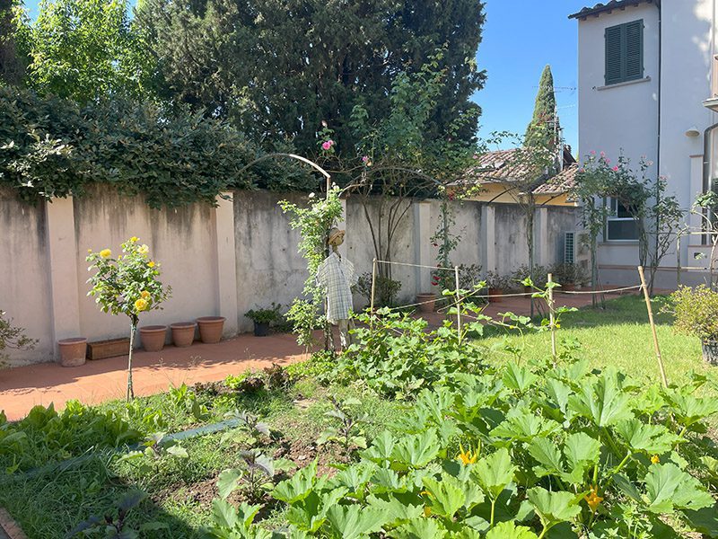 Immagine della Struttura