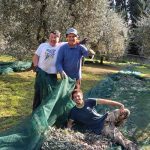 Progetto: Raccolta Olive con gli Anziani - RSA Santa Teresa del Bambino Gesù » 1 Progetto: Raccolta Olive con gli Anziani - RSA Santa Teresa del Bambino Gesù » Istituto Santa Teresa del Bambin Gesù
