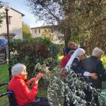 Progetto: Raccolta Olive con gli Anziani - RSA Santa Teresa del Bambino Gesù &raquo; Istituto Santa Teresa del Bambin Gesù