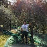 Progetto: Raccolta Olive con gli Anziani - RSA Santa Teresa del Bambino Gesù » 3 Progetto: Raccolta Olive con gli Anziani - RSA Santa Teresa del Bambino Gesù » Istituto Santa Teresa del Bambin Gesù